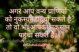 nature quotes, save nature quotes, save wildlife quotes, save wildlife quotes in hindi, love for wildlife, quotes on wildlife travel, world wildlife fund quotes, wildlife adventure quotes, best nature quotes, quotes in hindi, whatsapp, whatsapp status hindi, quotes, whatsapp status, whatsapp quotes, quotes on whatsapp status, short positive quotes, status quotes, nature life quotes images, sms collection, cool status message, quotes for whatsapp status, Business quotes, good quotation about life, nice quotes about life, best quotes, good quotes